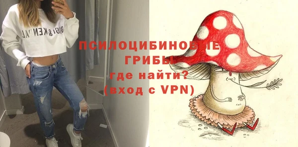 прущие крисы Алзамай