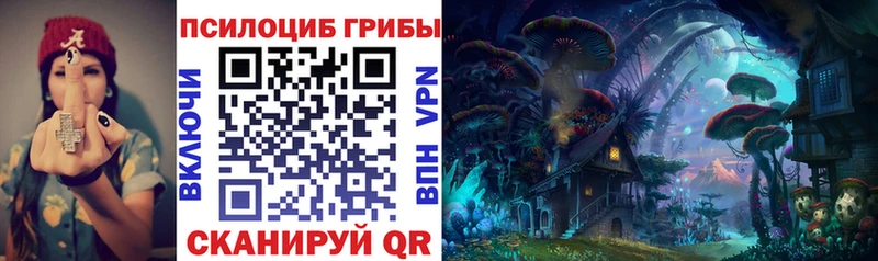 Галлюциногенные грибы Psilocybe  hydra ТОР  Буй  наркошоп 